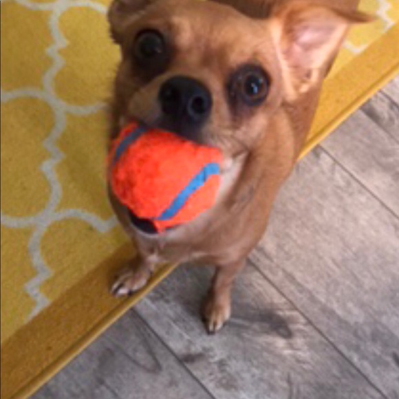 Meet Your Posher, Michelle 💖🦋☀️ - Picture 3 of 7